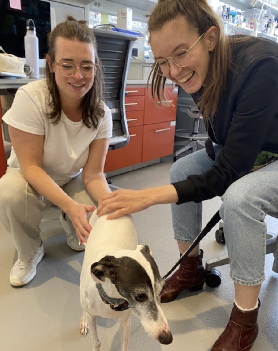 an Italian greyhound meets two of the graduate students in lab