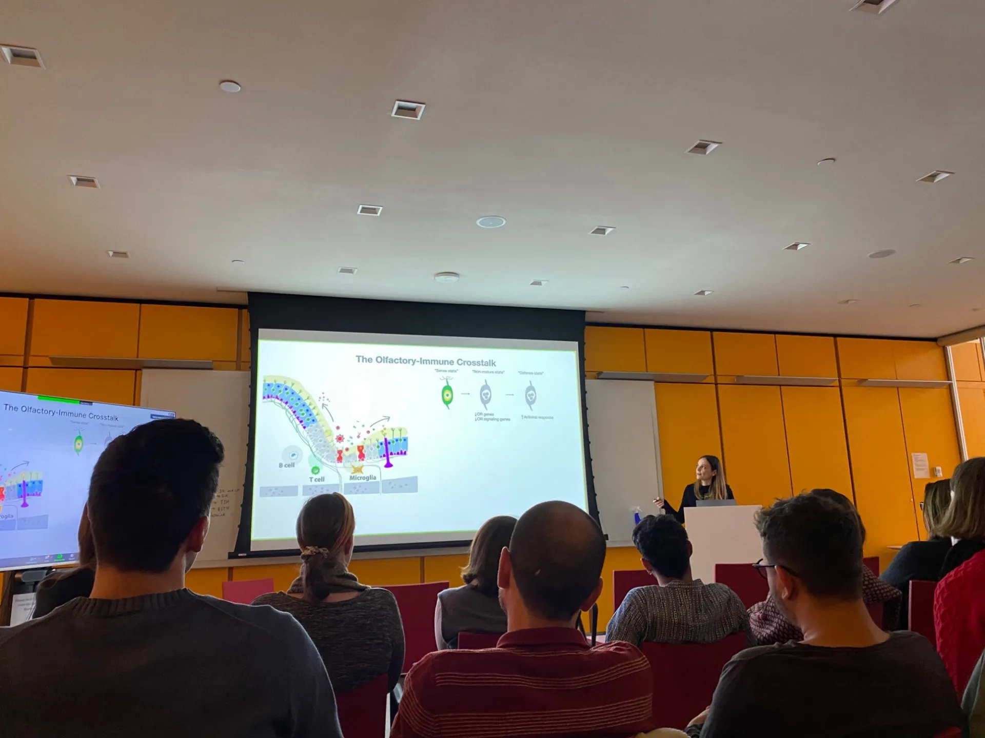 Albana during her presentation. 
