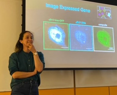 Joan presenting some work